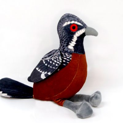 Rockjumper Bird Birdlife Stuffed Toy Baby Banz Africa2