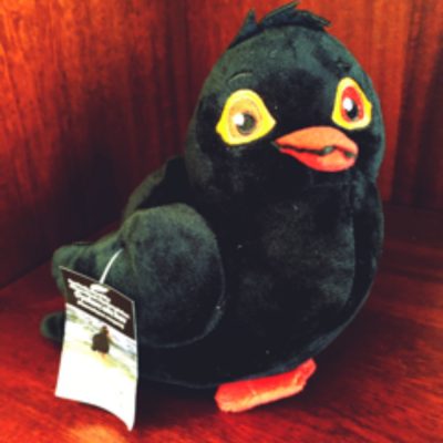Oyster Catcher Birdlife Stuffed Toy | Birdlife South Africa Fundraiser. Support a great cause. BirdLife South Africa wishes to see a country and region where nature and people live in greater harmony, more equitably and sustainably
